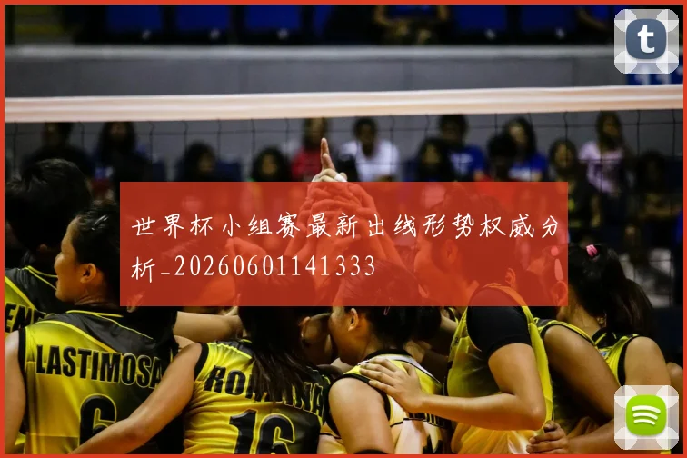 世界杯小组赛最新出线形势权威分析_20260601141333