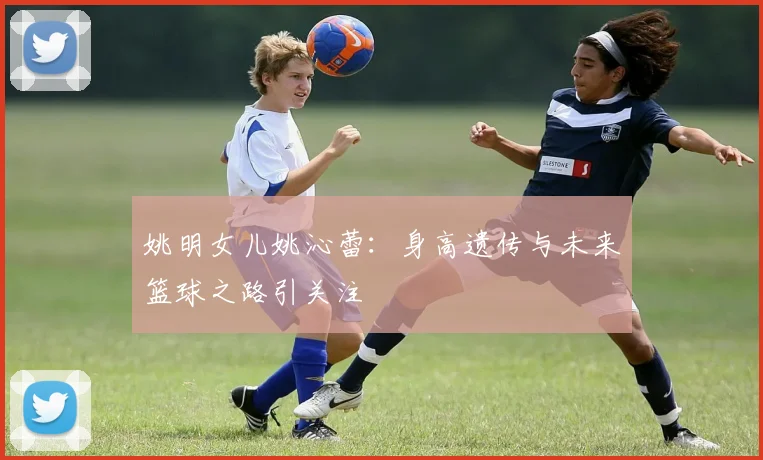 姚明女儿姚沁蕾:身高遗传与未来篮球之路引关注
