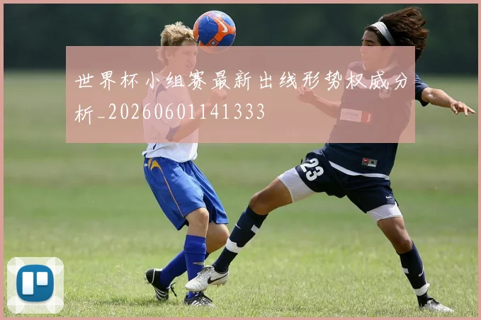 世界杯小组赛最新出线形势权威分析_20260601141333